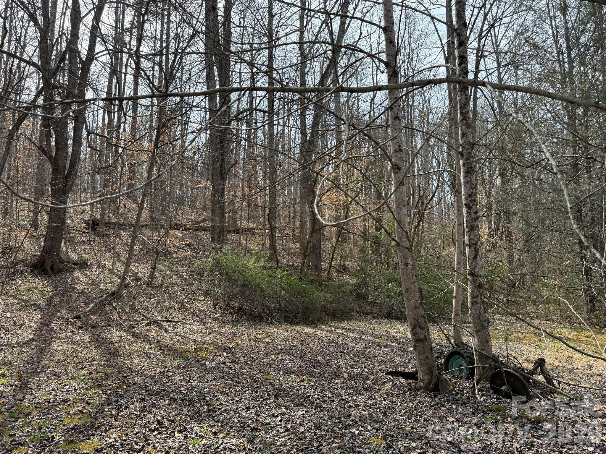 57 North Fork Road Barnardsville, NC 28709 - Photo 2 of 11 a backyard of a house with lots of green space