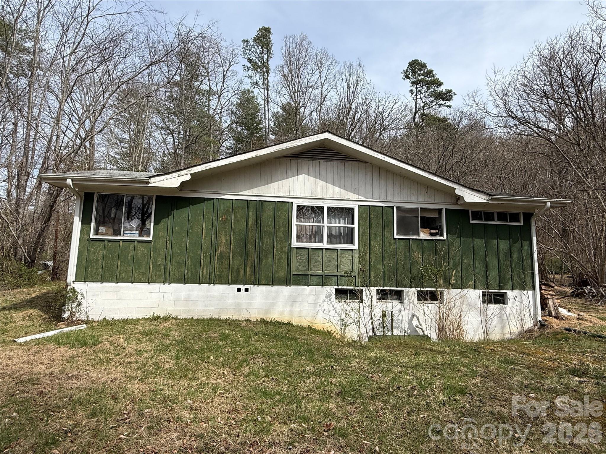 57 North Fork Road Barnardsville, NC 28709 - Photo 5 of 11 a front view of a house with a yard