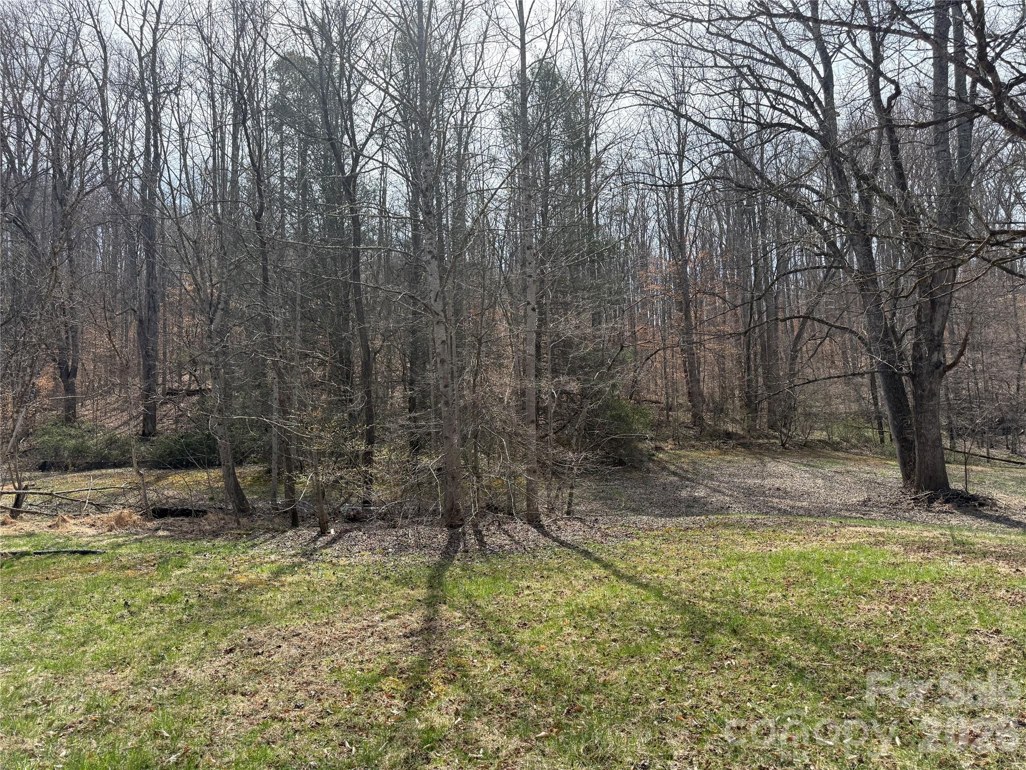 57 North Fork Road Barnardsville, NC 28709 - Photo 10 of 11 a view of backyard with green space