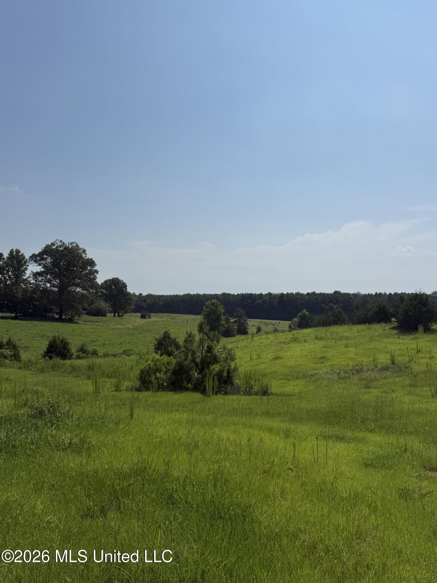 Monte Vista Road Eupora, MS 39744 - Photo 22 of 54 IMG_6416