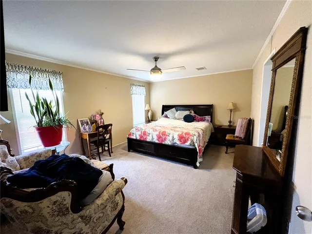 a bedroom with bed and a window