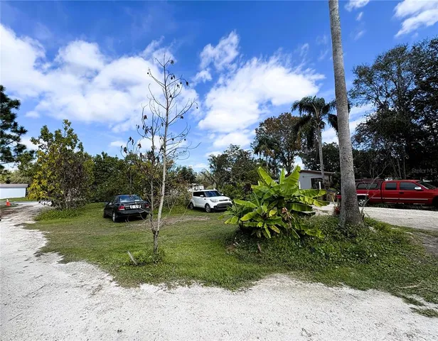 a view of a park with large trees