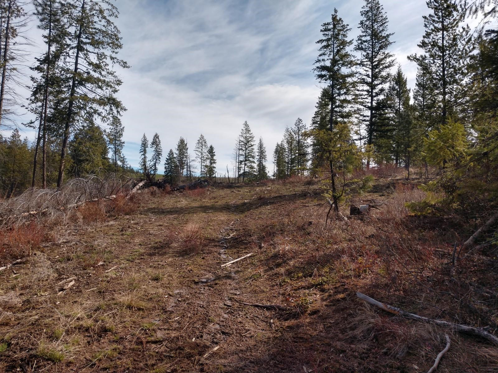 Lot C Olinger Road Springdale, WA 99173 - Photo 3 of 16