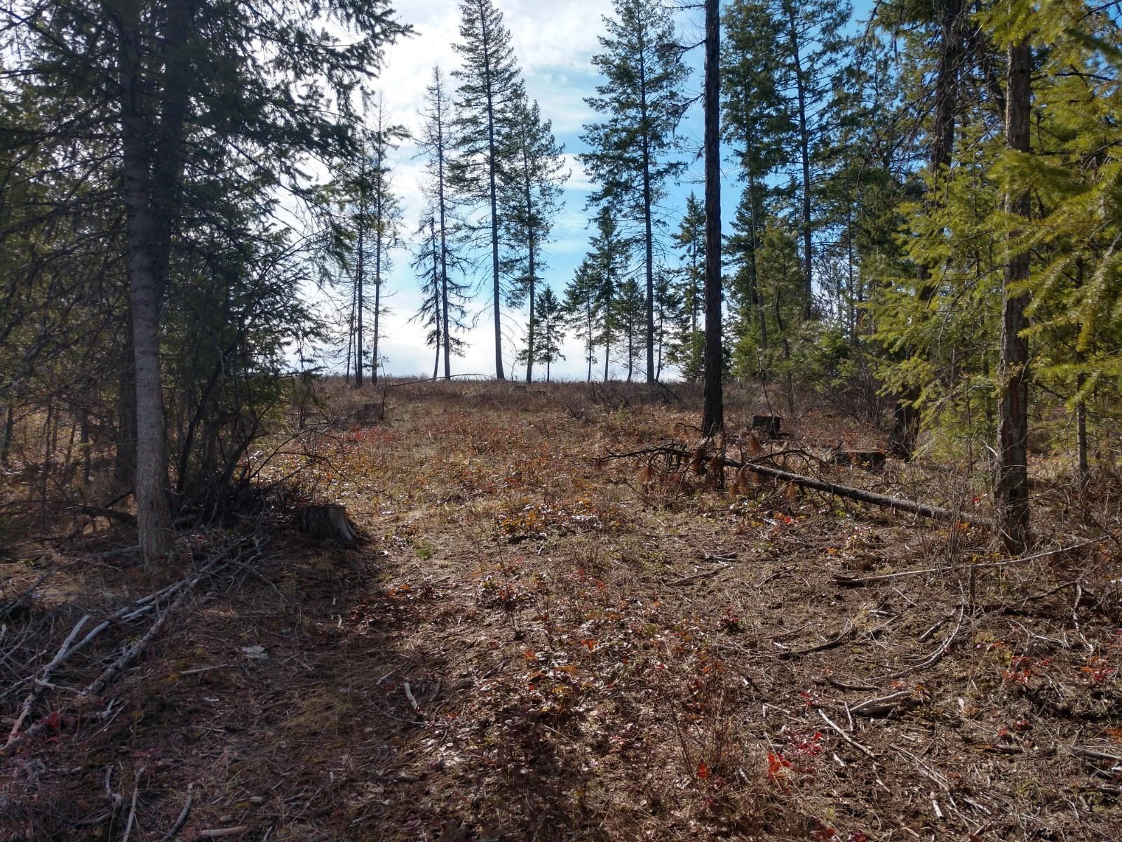 Lot C Olinger Road Springdale, WA 99173 - Photo 5 of 16