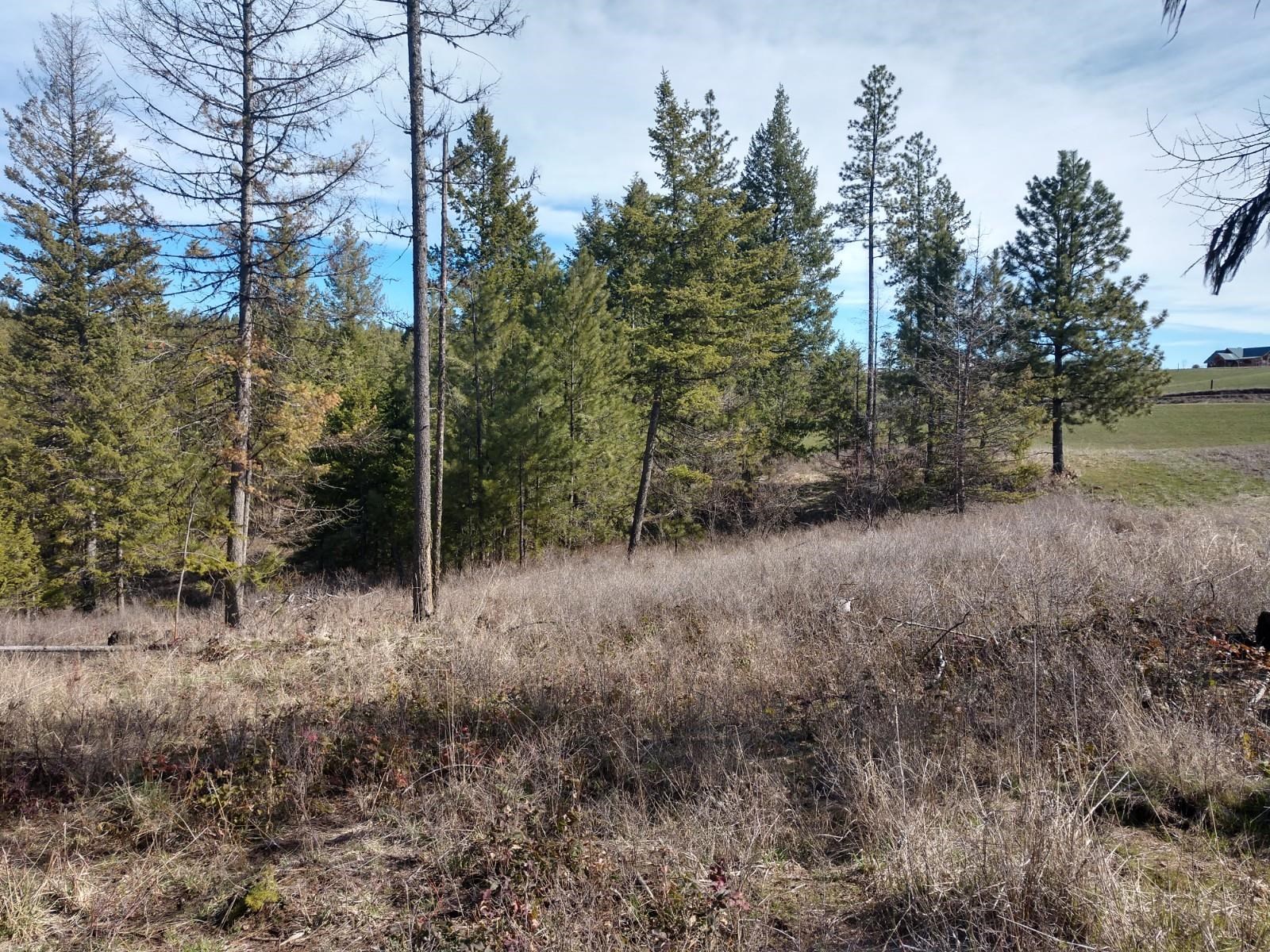 Lot C Olinger Road Springdale, WA 99173 - Photo 6 of 16