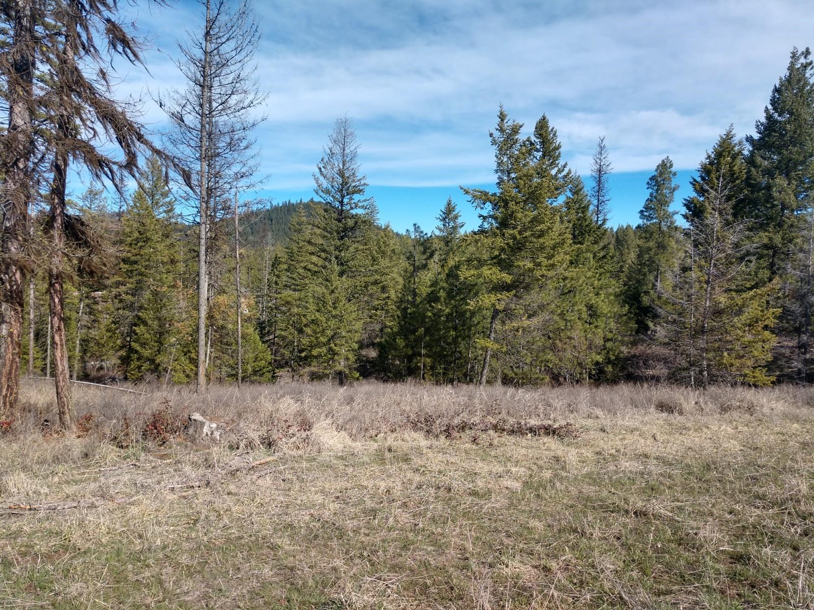 Lot C Olinger Road Springdale, WA 99173 - Photo 7 of 16