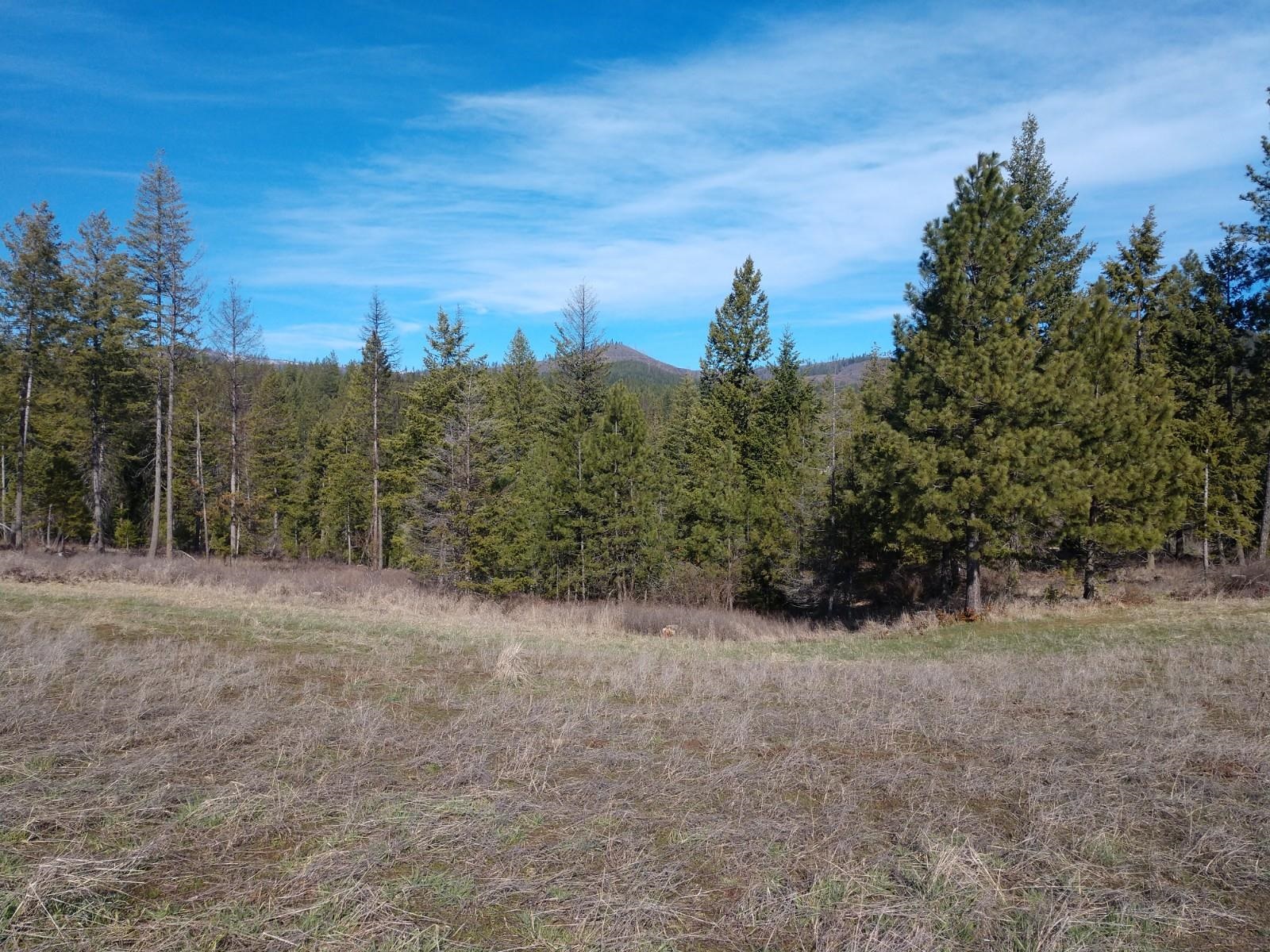 Lot C Olinger Road Springdale, WA 99173 - Photo 8 of 16