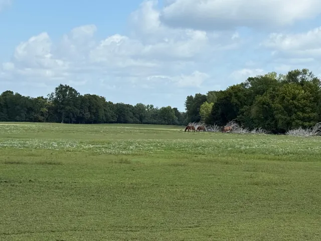 $4,500,000 | 38388 Belgrade Township 121, North Mankato, MN 56003