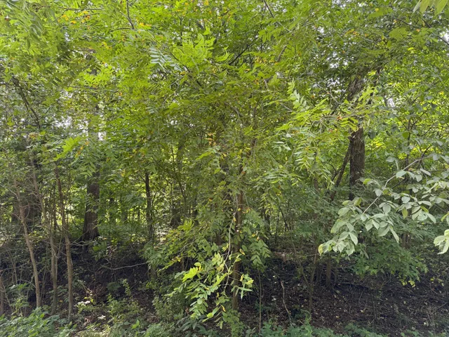 $4,500,000 | 38388 Belgrade Township 121, North Mankato, MN 56003