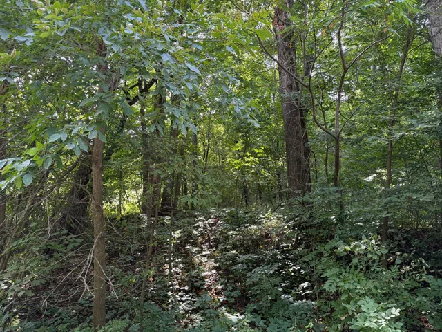 $4,500,000 | 38388 Belgrade Township 121, North Mankato, MN 56003