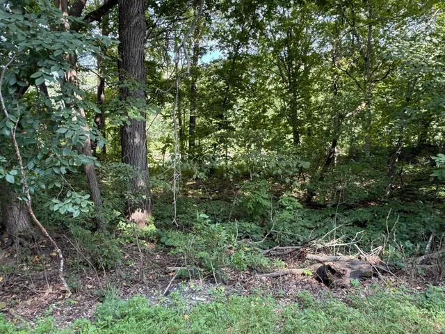 $4,500,000 | 38388 Belgrade Township 121, North Mankato, MN 56003