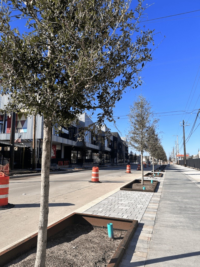 810 Nashua Street Houston, TX 77008 - Photo 34 of 35 a view of a building with trees