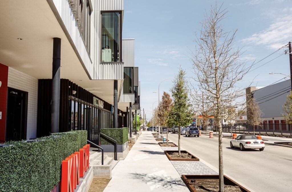 810 Nashua Street Houston, TX 77008 - Photo 35 of 35