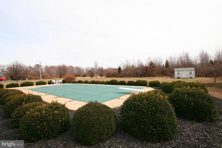 315 Queens Colony High Road Stevensville, MD 21666 - Photo 20 of 20 Pool