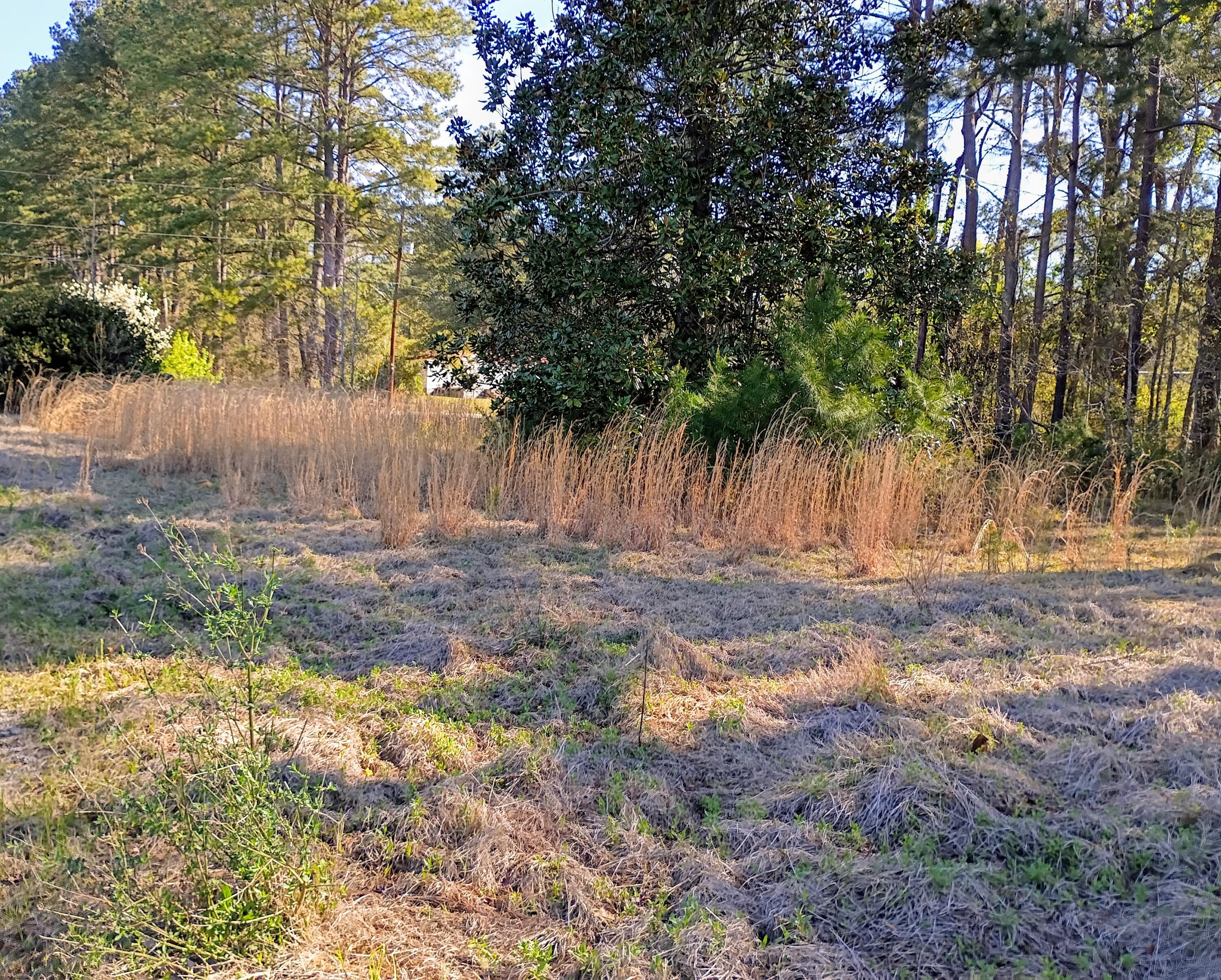 67 Cone Court Cottageville, SC 29435 - Photo 2 of 2 67 Cone Court