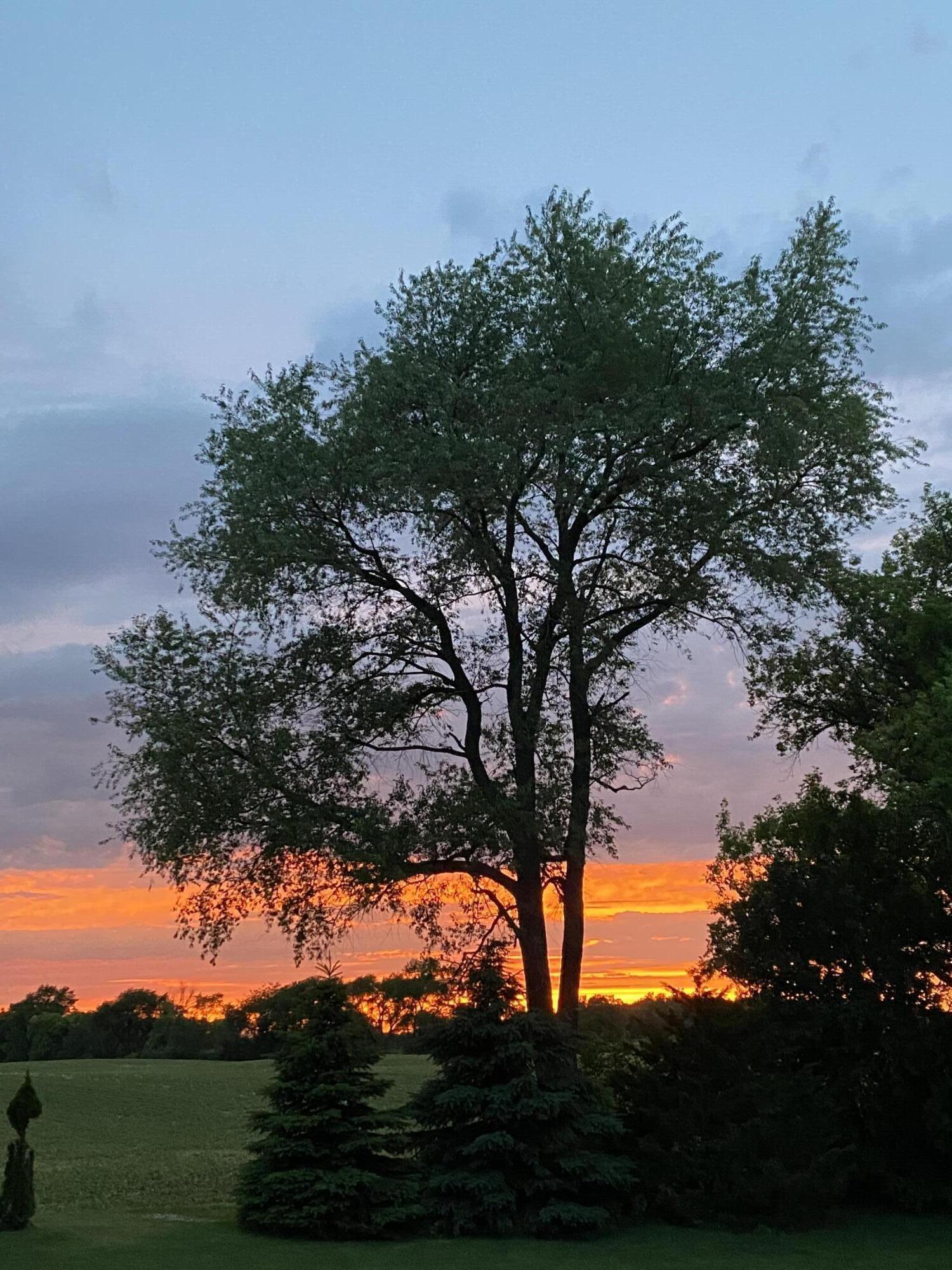 W7288 South Town Line Road Delavan, WI 53115 - Photo 39 of 57 sunsets off patio