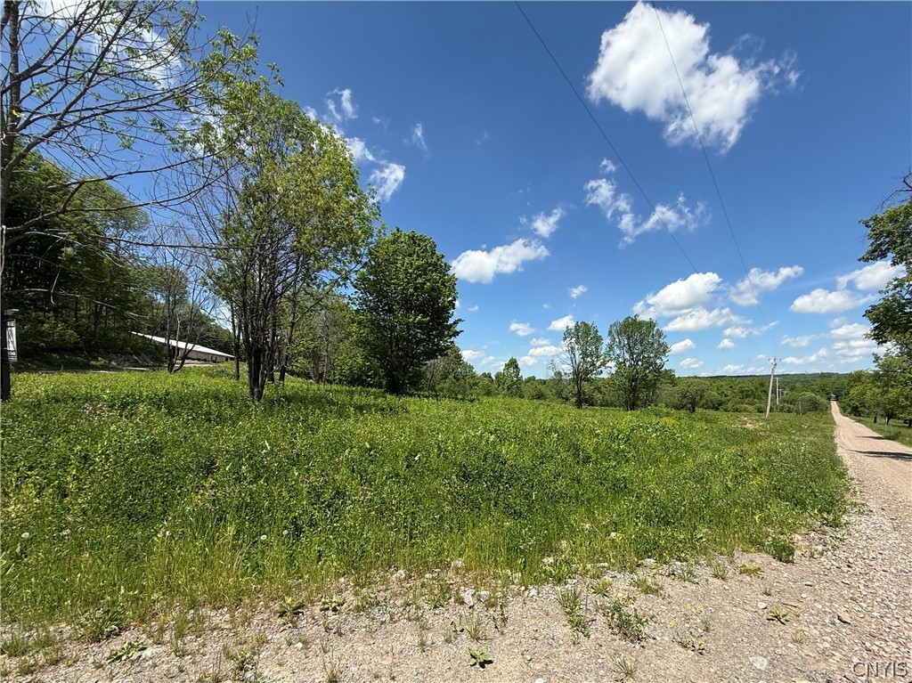 4317 Moore Road West Turin, NY 13473 - Photo 22 of 25