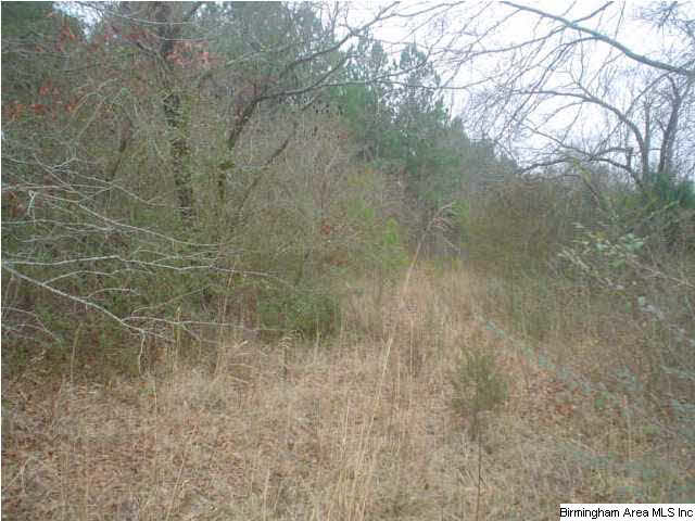 Posey Road, Unit 4 3 Hayden, AL 35079 - Photo 1 of 2