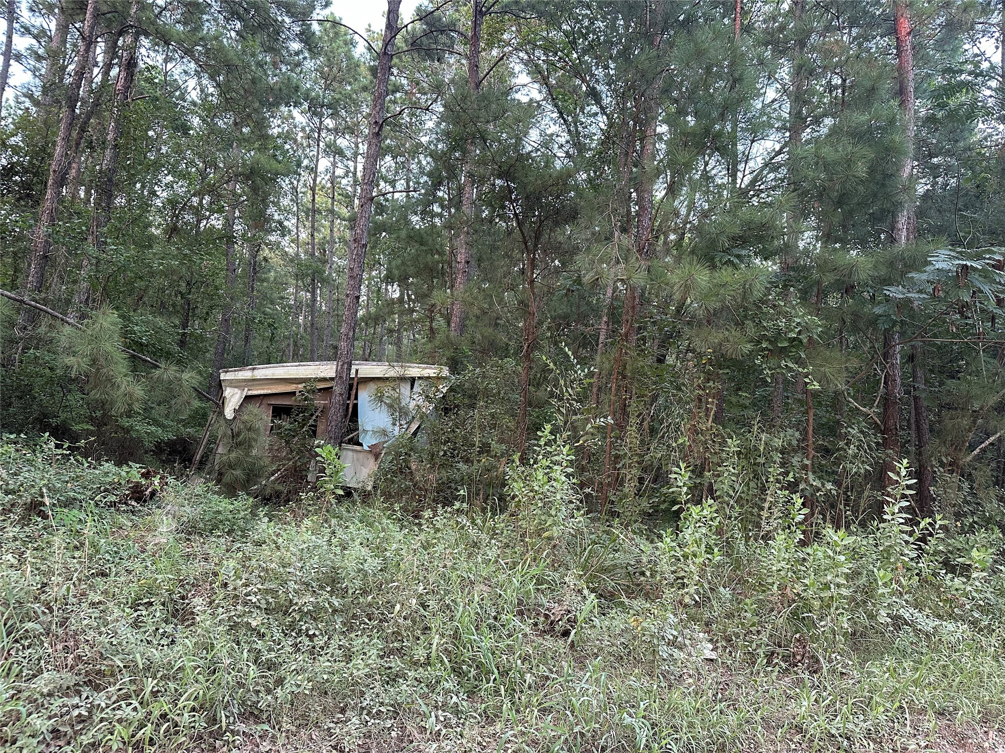 2103 Jenkins Road Coldspring, TX 77331 - Photo 23 of 24 a backyard of a house with table and chairs