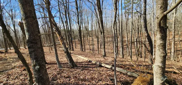 $175,000 | 0 Edmundson Road, Unit TRACT 6 AT BIG TIMBER), Vinton, OH 45686