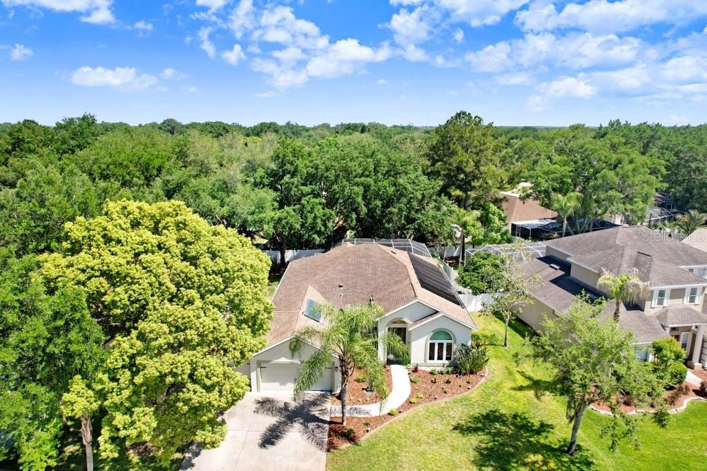 3026 Partridge Point Trail Valrico, FL 33596 - Photo 6 of 55