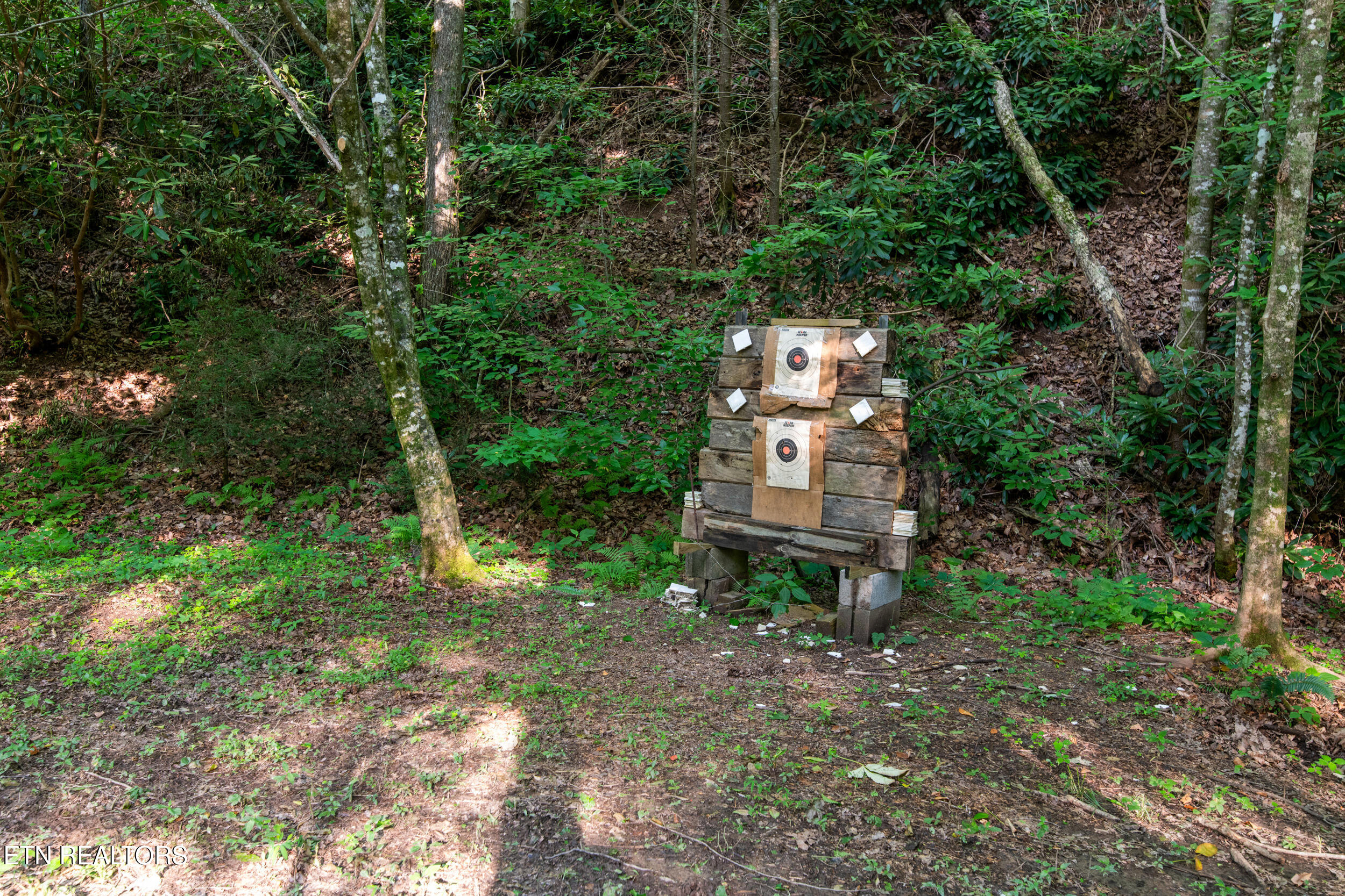 610 Towee Falls Road Tellico Plains, TN 37385 - Photo 11 of 60 610 towee falls rd-15