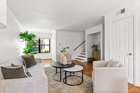 a living room with furniture and a potted plant