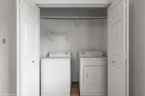 a view of a yard with plants and trees
