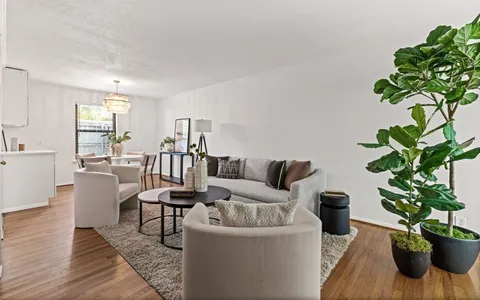 a living room with furniture and a potted plant