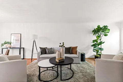 a living room with furniture and a potted plant