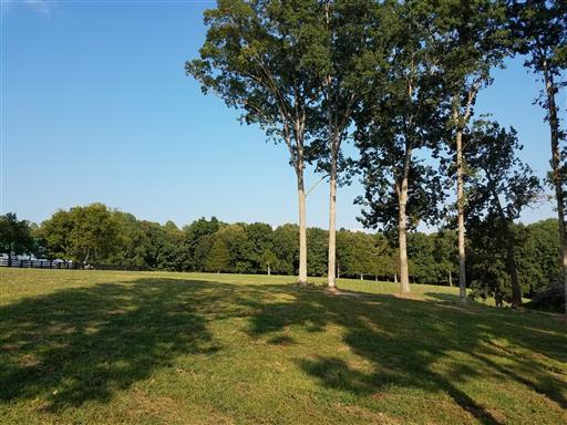 3 Barnhill Road Primm Springs, TN 38476 - Photo 1 of 8 a view of a field with trees in the background