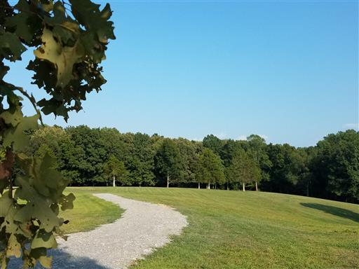 3 Barnhill Road Primm Springs, TN 38476 - Photo 3 of 8 a view of a grassy field with trees