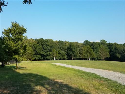 3 Barnhill Road Primm Springs, TN 38476 - Photo 4 of 8 a view of a green field with trees in the background