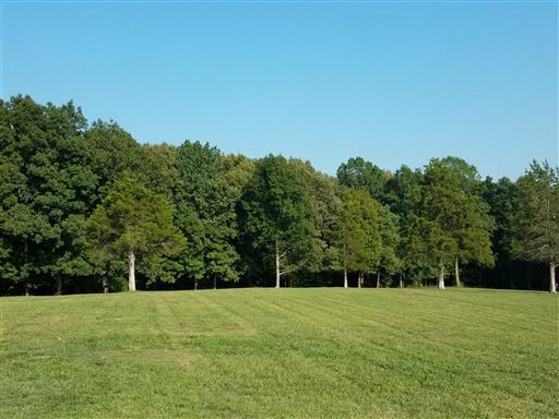 3 Barnhill Road Primm Springs, TN 38476 - Photo 5 of 8 a view of a big yard
