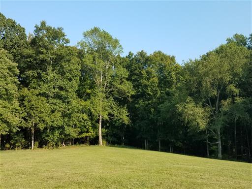 3 Barnhill Road Primm Springs, TN 38476 - Photo 6 of 8 a view of a outdoor space