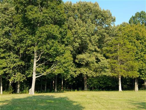 3 Barnhill Road Primm Springs, TN 38476 - Photo 7 of 8 a view of a yard with a trees