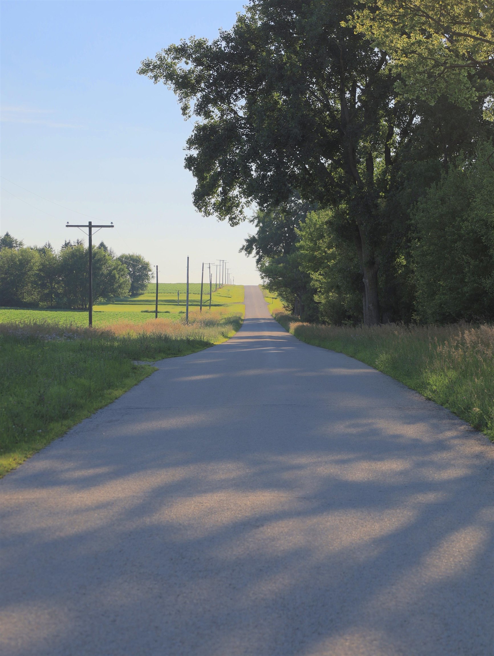 0 Todd Road Amboy, IL 61310 - Photo 52 of 58