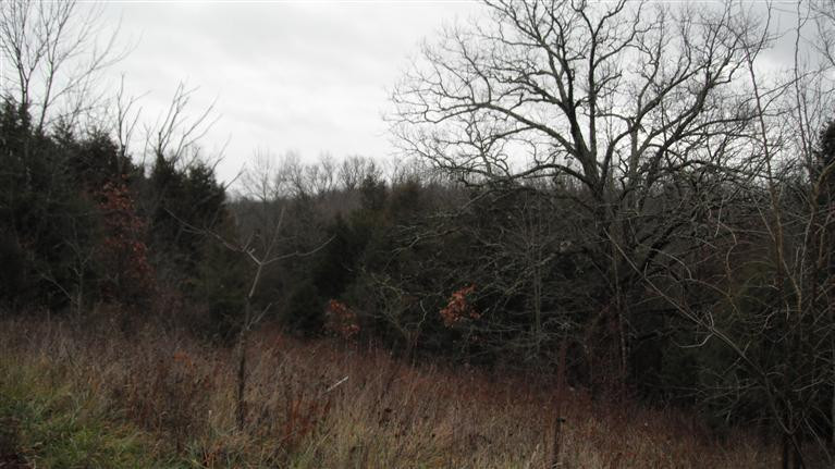 62 Owenton Road Stamping Ground, KY 40379 - Photo 12 of 19 This is a view on the right side of the