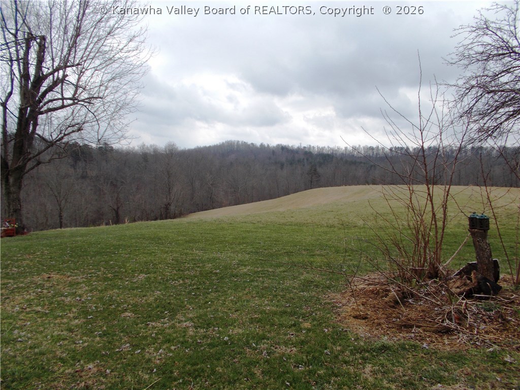 7938 Stone Lick Road Gay, WV 25244 - Photo 21 of 29 Gallery Image 21