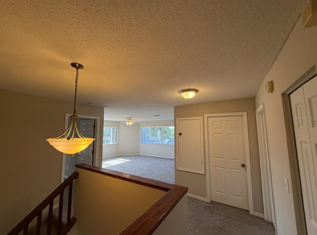 12919 Brant Tree Drive Riverview, FL 33579 - Photo 20 of 26