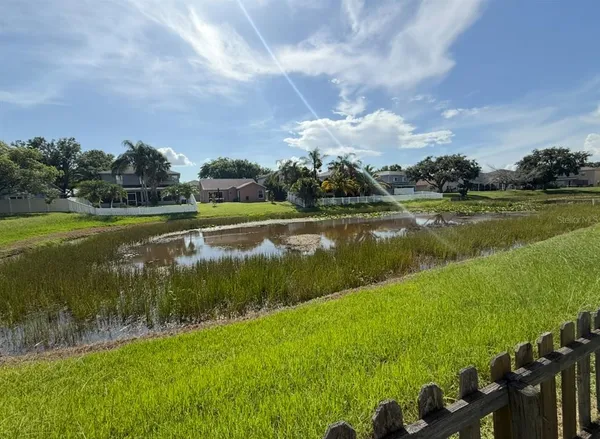 $2,500 | 12919 Brant Tree Drive, Riverview, FL 33579