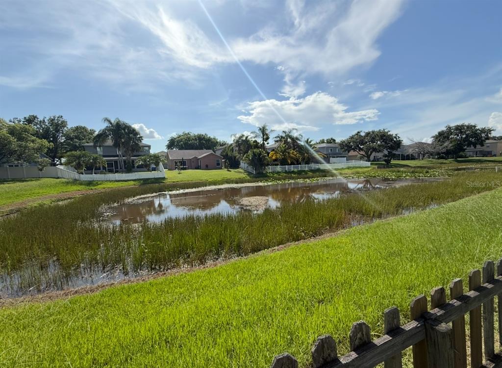 12919 Brant Tree Drive Riverview, FL 33579 - Photo 26 of 26