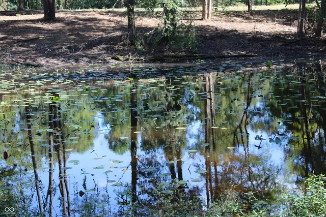 $302,685 | Tract 13-7530 West Private Road 775 South, Commiskey, IN 47227