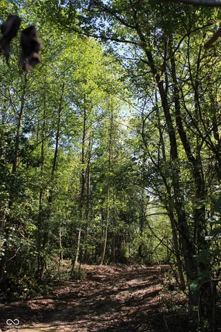 $302,685 | Tract 13-7530 West Private Road 775 South, Commiskey, IN 47227