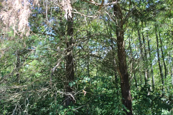 $265,000 | Tract 13-7530 West Private Road 775 South, Commiskey, IN 47227