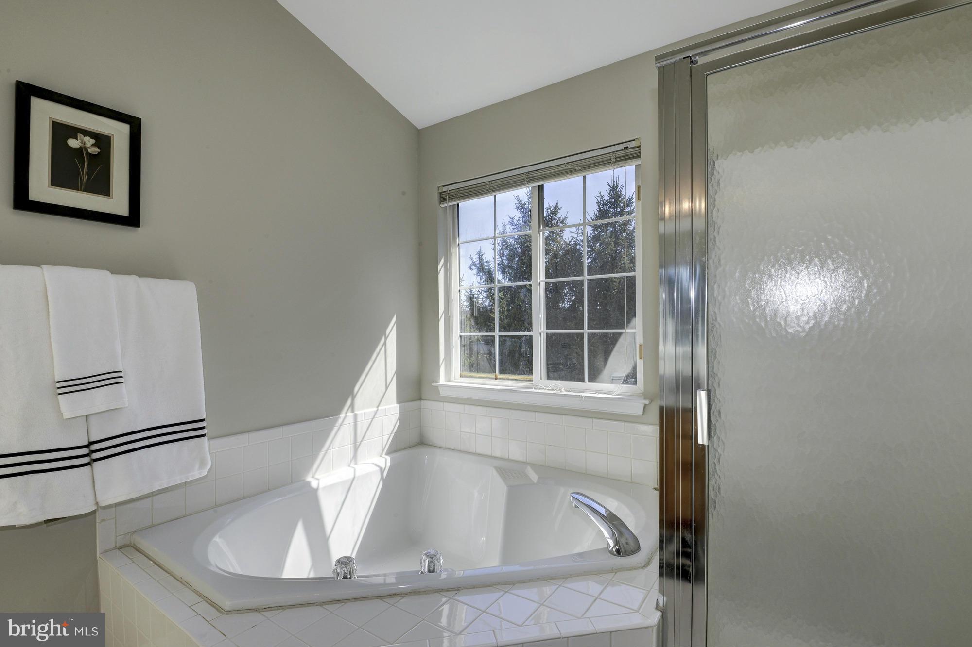 2827 Roesh Way Vienna, VA 22181 - Photo 23 of 30 Bath (Master)