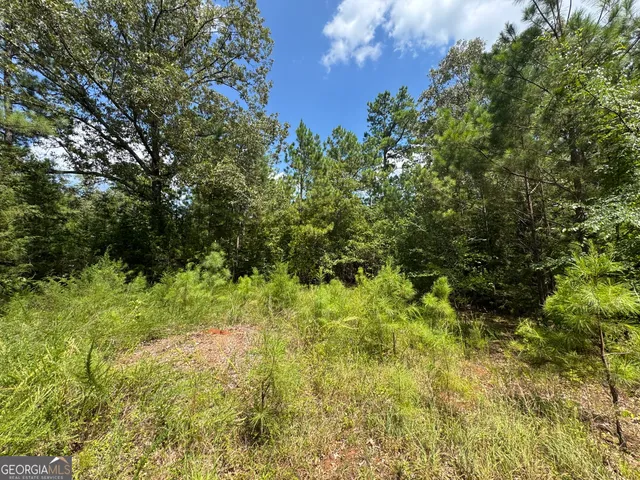 a view of a road with trees in the background