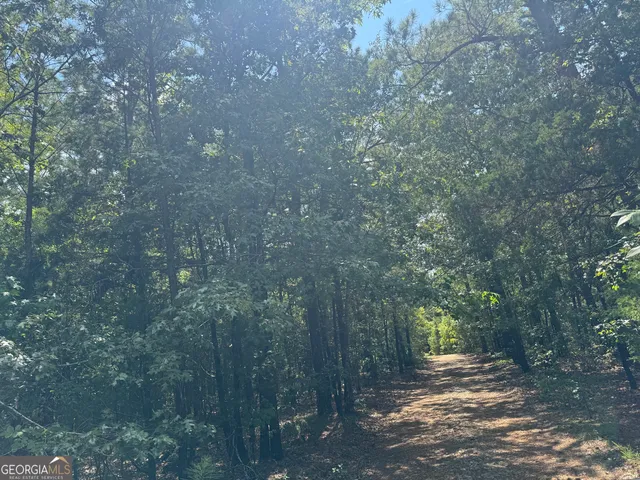 $500,000 | 1324 Highway 81, Calhoun Falls, SC 29628