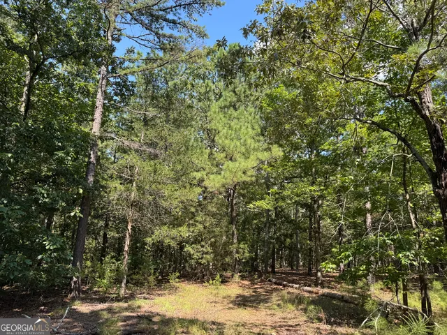 a view of road with trees