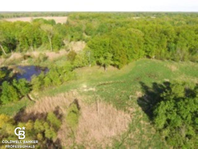 8731 Mason Road Yale, MI 48097 - Photo 8 of 40 Aerial view woods
